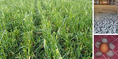 Informe tormentas del día 09 de Octubre de 2019 sobre norte de Buenos Aires