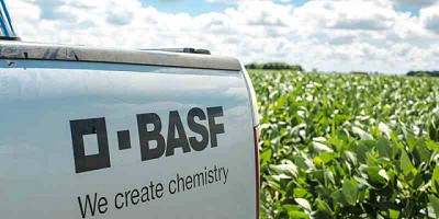 En vísperas de la siembra de soja, BASF resalta la importancia de sembrar semillas de calidad