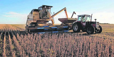 Exportaciones crecen en septiembre y en acumulado anual de la mano de la soja