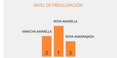 ¿Qué piensan los productores sobre la sanidad del trigo?