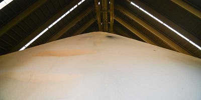 La molienda de soja abril-septiembre es la más alta de los últimos cuatro años