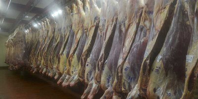Una nueva etapa comienza en la comercialización de la carne argentina