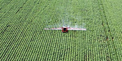 Entre las prácticas sustentables y la necesidad de responder a la demanda