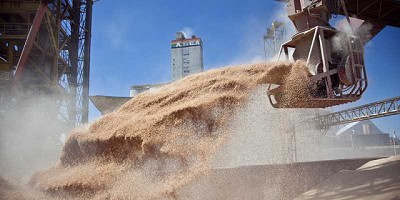 Se lanzó el Sistema de Warrant Electrónico