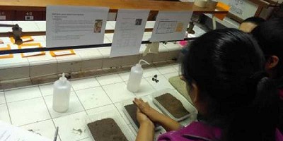 Monolito Edafológico: una herramienta didáctica para enseñar sobre suelos en escuelas medias