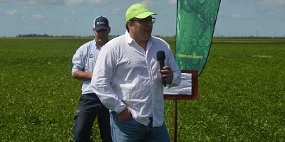 Soja: Cuando la fertilización foliar se transforma en rinde