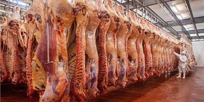 Tres nuevas plantas de carne bovina bonaerenses exportarán a China