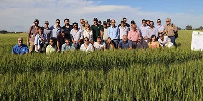 La estrategia de fertilización determina la productividad de los sistemas