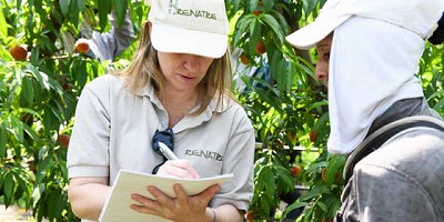 El RENATRE relevó en octubre a más de 800 trabajadores y realizó más de 100 fiscalizaciones