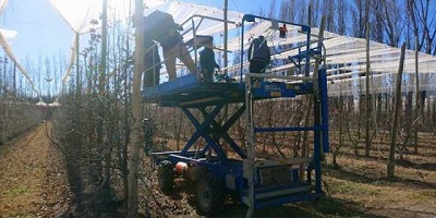 Bioeconomía y asociativismo