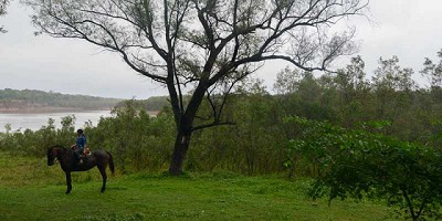 Formalizan la medición de Gases Efecto Invernadero (GEIs) del Agro y Bosques