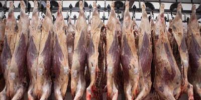 Suspenden cooperativa faenadora de bovinos en el sur del Gran Buenos Aires