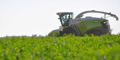 La continuidad de la empresa familiar, uno de los temas centrales de la próxima Experiencia en Sunchales