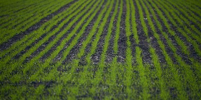 El Ministerio presentó la metodología de Prospectiva Agrícola 2030