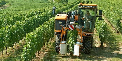 Las máquinas se adaptan a los cambios alimentarios