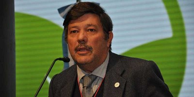 El desafío es crecer, por Dardo Chiesa