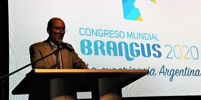 Argentina será sede del Congreso Mundial Brangus 2020