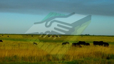 El cambio de la cría a la exportación de una empresaria CREA