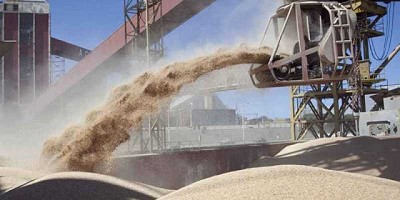 Vicentín: En las próximas horas se espera un propuesta a corredores y productores