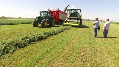 Experiencia Forrajera: cómo aumentar productividad ganando calidad