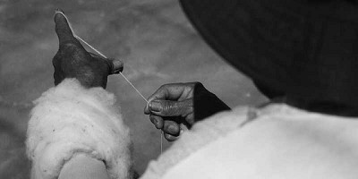 Somos Fibra exporta a Estados Unidos, Australia y España