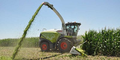 Cómo ajustar el manejo del maíz tardío