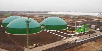 Empresarios exhortan al Gobierno argentino por un programa que continúe desarrollando al sector bioenergético