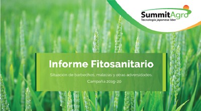 Estado de Malezas en las principales zonas productoras