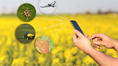 Una aplicación que permite que los productores administren sus campos desde teléfonos móviles y computadoras