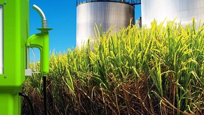 Biocombustibles - Otra vez la falacia del costo fiscal; por Emiliano Huergo