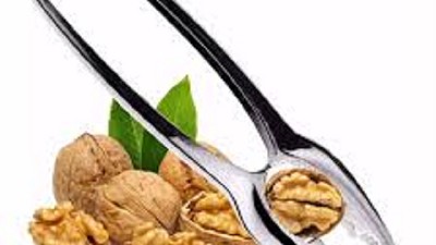 Más allá de todos, todas y todes, el Campo  la sigue ROMPIENDO; por Ricardo Bindi