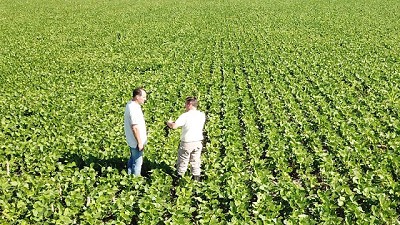 Planificación e innovación para enfrentar a las malezas