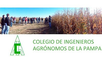 El Colegio de Ings. Agrs. llama urgente a resolver el tema de envases en La Pampa