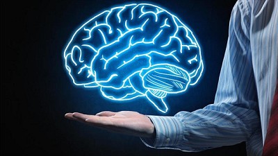 ¿Qué piensan del Campo los cerebros  del Frente de Todos?; por Ricardo Bindi