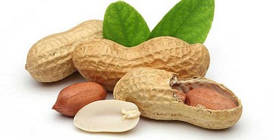 Las exportaciones de maní de Argentina aumentaron un 16% en 2019