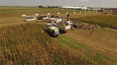 En Ameghino, la Experiencia también es ganadera