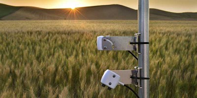 A medir las emisiones de carbono de cultivos bioenergéticos