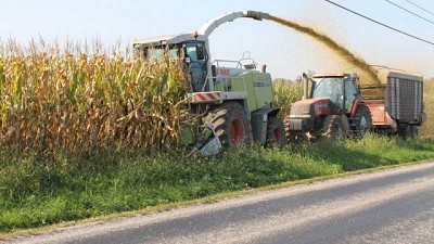 Japón activa programa de emergencia de reservas de maíz