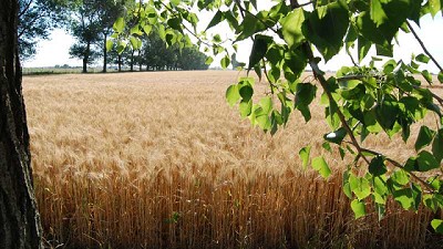 Syngenta y The Nature Conservancy trabajan para conciliar sistemas productivos y ambientes nativos