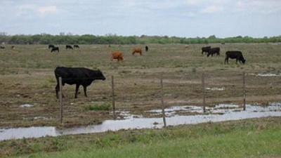 En Chaco recomienza la pesadilla de las inundaciones: los pronósticos no son alentadores