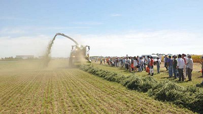 En Ameghino, todo apunta a mejorar la eficiencia