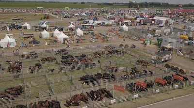 Expoagro 2020: Una agenda ganadera pensando en la eficiencia