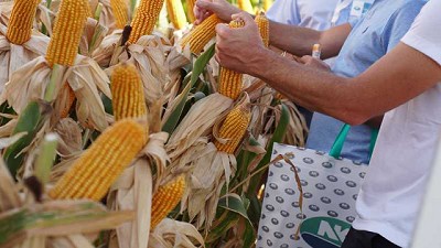 NK se presentó en Expoagro en un regreso marcado por la innovación
