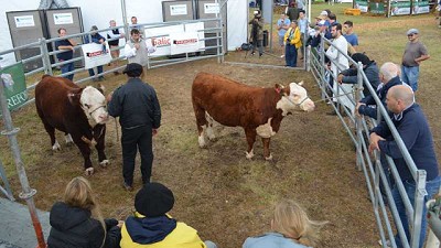 Hacia una ganadería con visión de futuro y proyección mundial