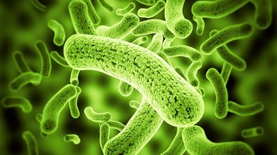 La teoría de la interacción política contaminante y los parásitos nocivos para el campo; por R. Bindi