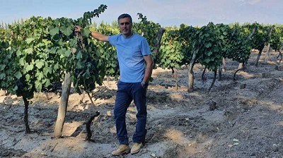 Uvas y frutales: fertilizar para no perder hasta el 50% de la próxima cosecha