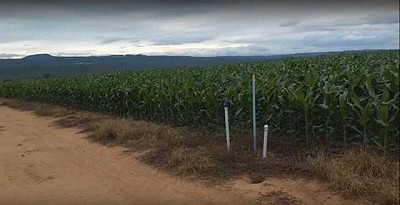 Los rendimientos se estabilizan independientemente del año