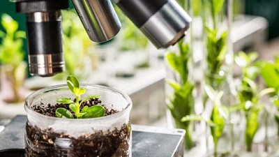 Preparando los cultivos para el clima del futuro