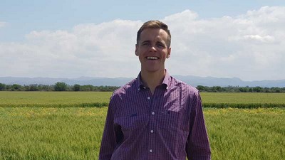 Semillas curadas para evitar manchas en los rendimientos invernales