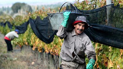 A los trabajadores rurales y empleadores: ¡Gracias!